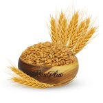 دانه مالت
